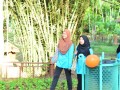 Tn DSC 1688